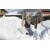 GARDENA ClassicLine łopata do śniegu 40 cm, 17550-30