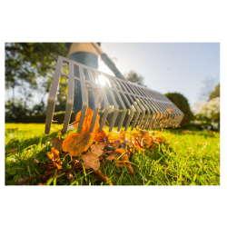 GARDENA PureLine grabie szerokie FSC 100%, 17305-20