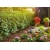 GARDENA Micro-Drip-System - linia kroplująca do rzędów roślin – zestaw S, 13010-20