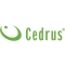 CEDRUS