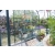 VITAVIA szklarnia ogrodowa Diana 5000, zielona - (5 m2; 2,57 x 1,95 m) + baza, SZKŁO HARTOWANE