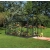 VITAVIA szklarnia ogrodowa VENUS 7500, czarna - 7,5 m2, (1,93 m x 3,84 m) + baza