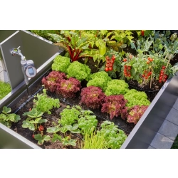 GARDENA Micro-Drip-System - zestaw podstawowy do podniesionych rabat, 13455-20